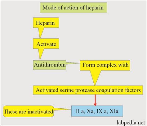 hwpirn|Heparin .